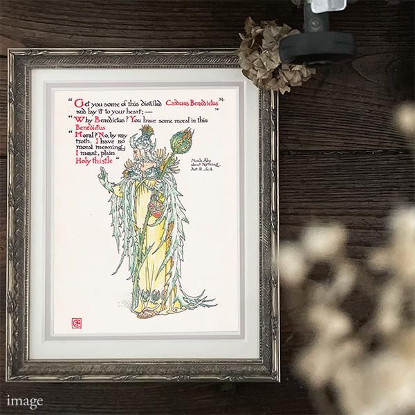 ʤ륢ߡHoly Thistle Flowers from Shakespeares Garden  륿쥤 1906ǯ  | 2008