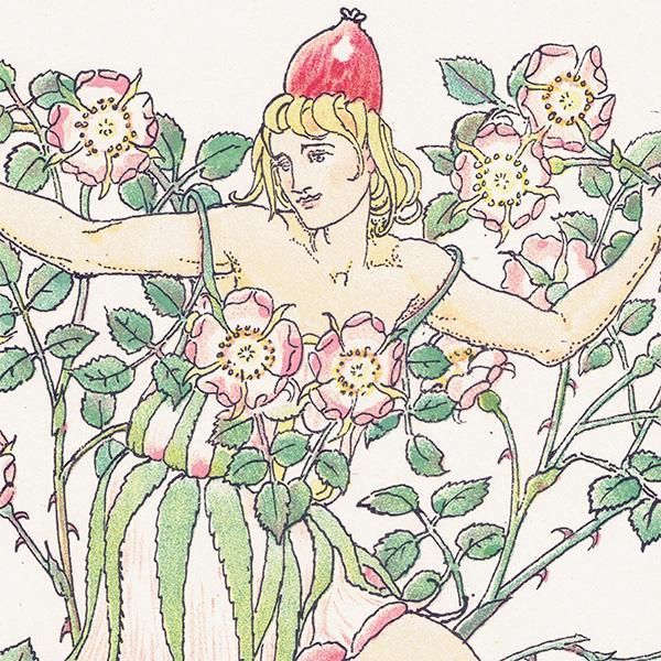 磻ɥEglantine Flowers from Shakespeares Garden  륿쥤 1906ǯ  | 2009