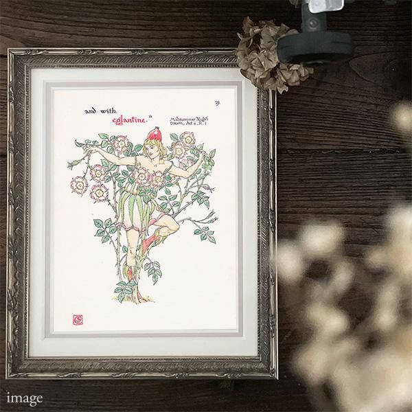 磻ɥEglantine Flowers from Shakespeares Garden  륿쥤 1906ǯ  | 2009