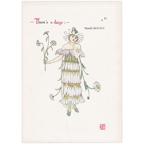 ǥdaisy Flowers from Shakespeares Garden  륿쥤 1906ǯ  | 2011