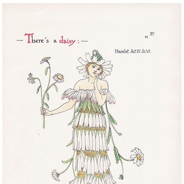 ǥdaisy Flowers from Shakespeares Garden  륿쥤 1906ǯ  | 2011