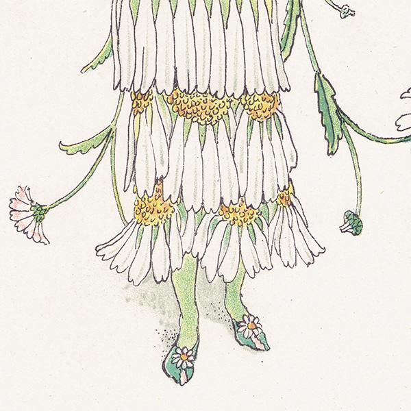 ǥdaisy Flowers from Shakespeares Garden  륿쥤 1906ǯ  | 2011