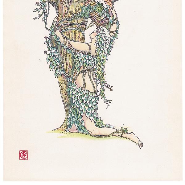 ӡIvy Flowers from Shakespeares Garden  륿쥤 1906ǯ  | 2012