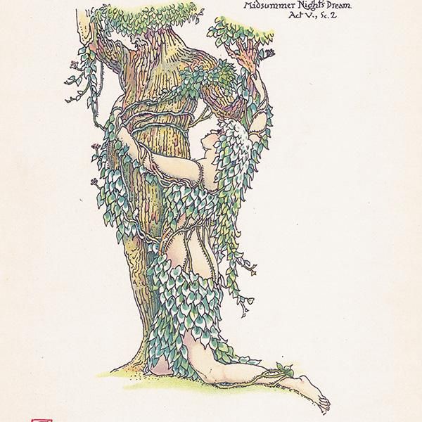 ӡIvy Flowers from Shakespeares Garden  륿쥤 1906ǯ  | 2012