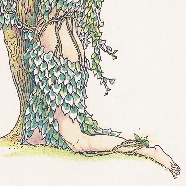 ӡIvy Flowers from Shakespeares Garden  륿쥤 1906ǯ  | 2012