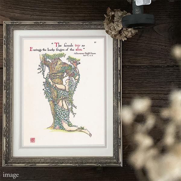 ӡIvy Flowers from Shakespeares Garden  륿쥤 1906ǯ  | 2012