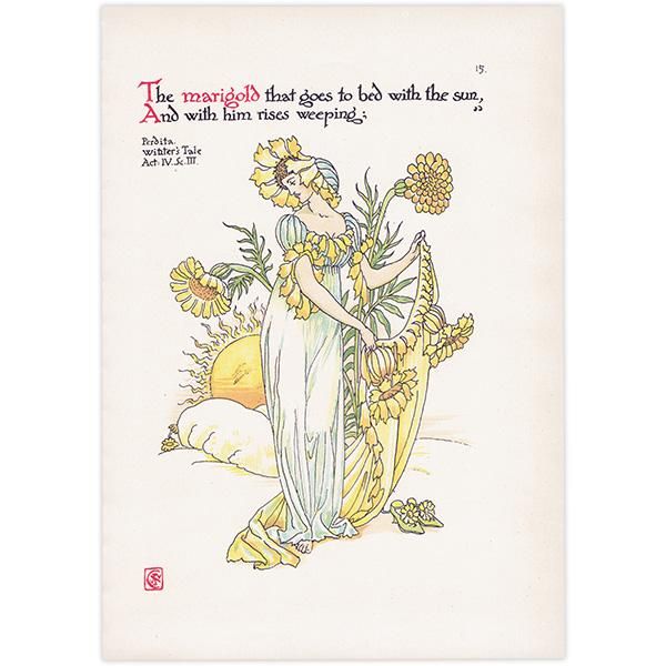 ޥ꡼ɡmarigold Flowers from Shakespeares Garden  륿쥤 1906ǯ  | 2013