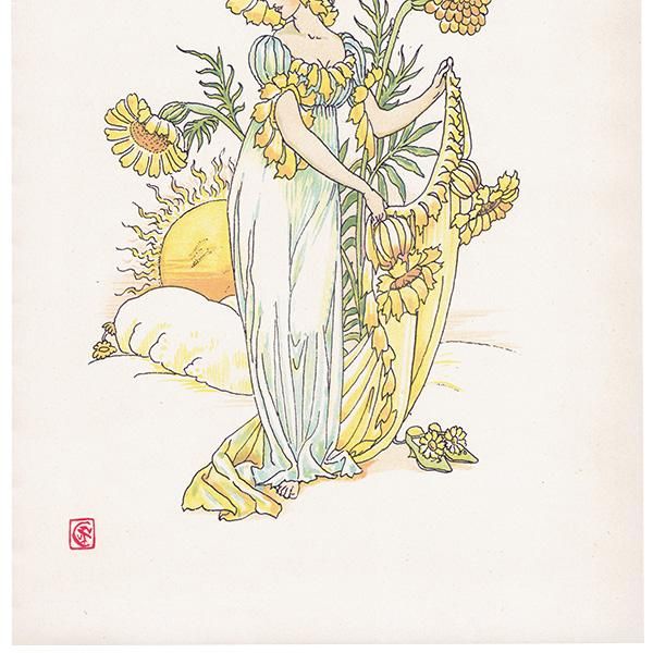 ޥ꡼ɡmarigold Flowers from Shakespeares Garden  륿쥤 1906ǯ  | 2013