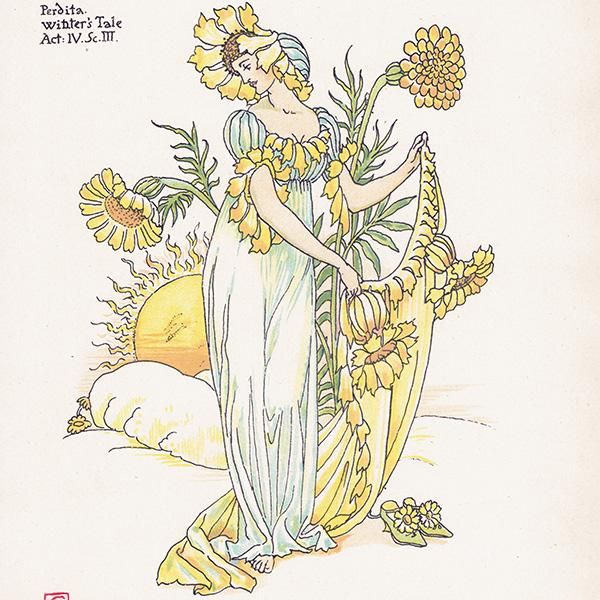 ޥ꡼ɡmarigold Flowers from Shakespeares Garden  륿쥤 1906ǯ  | 2013