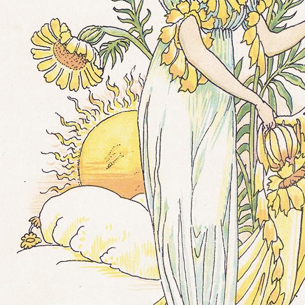 ޥ꡼ɡmarigold Flowers from Shakespeares Garden  륿쥤 1906ǯ  | 2013