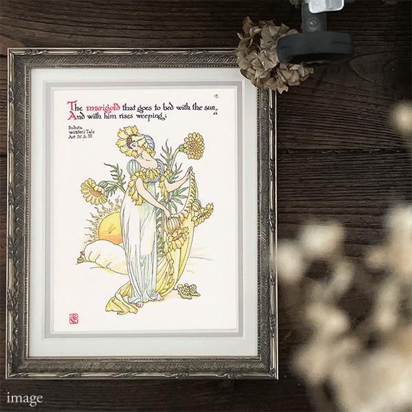 ޥ꡼ɡmarigold Flowers from Shakespeares Garden  륿쥤 1906ǯ  | 2013