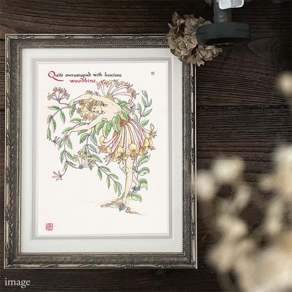 ϥˡåWoodbine Flowers from Shakespeares Garden  륿쥤 1906ǯ  | 2014
