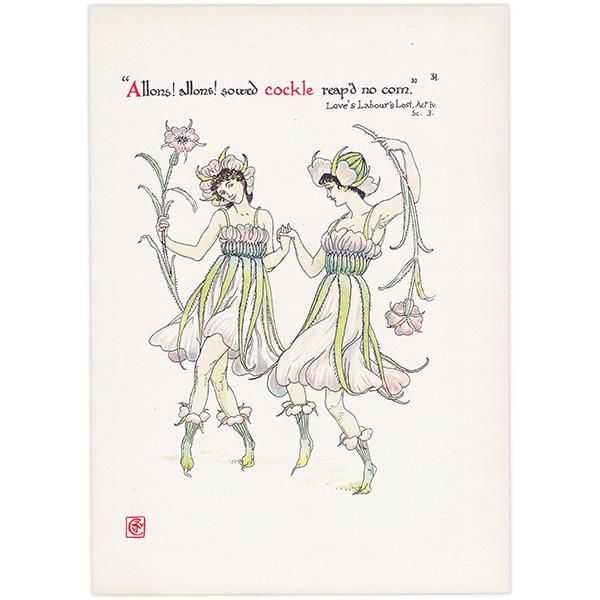 ८ʥǥcockle Flowers from Shakespeares Garden  륿쥤 1906ǯ  | 2015