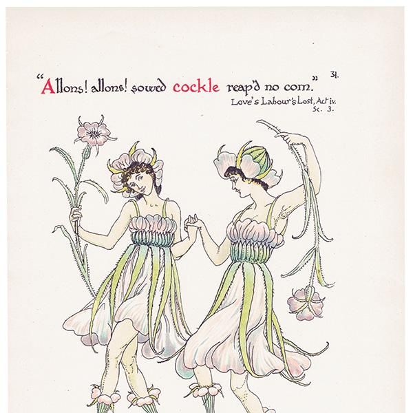 ८ʥǥcockle Flowers from Shakespeares Garden  륿쥤 1906ǯ  | 2015