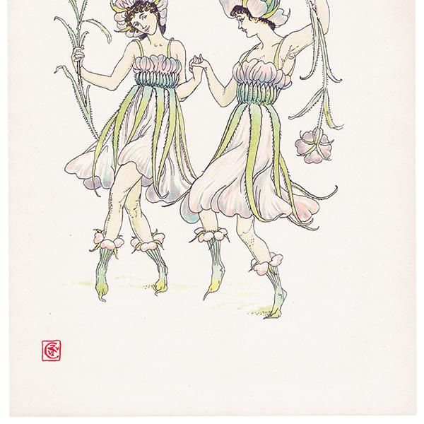 ८ʥǥcockle Flowers from Shakespeares Garden  륿쥤 1906ǯ  | 2015