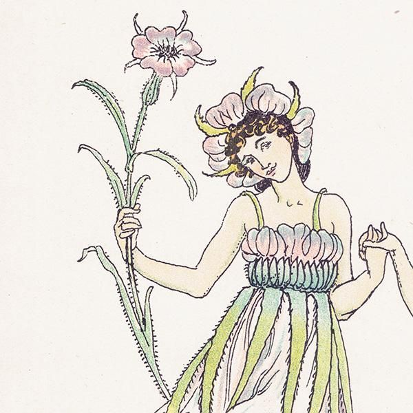 ८ʥǥcockle Flowers from Shakespeares Garden  륿쥤 1906ǯ  | 2015
