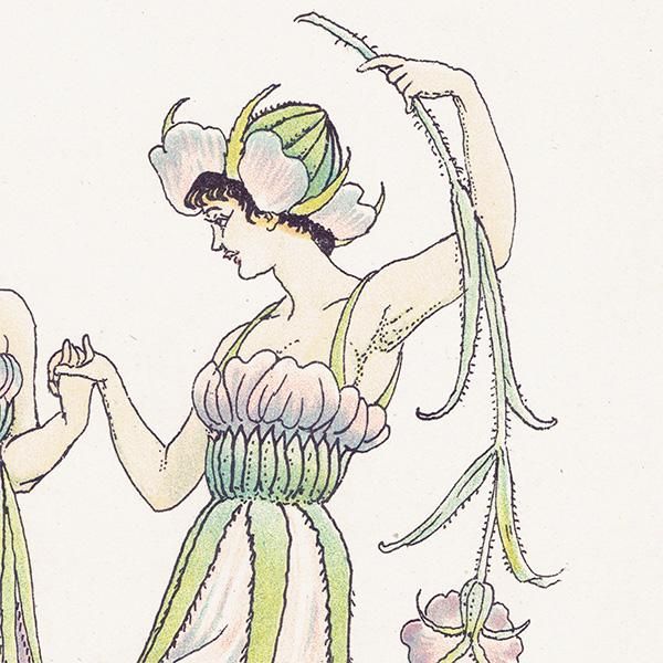 ८ʥǥcockle Flowers from Shakespeares Garden  륿쥤 1906ǯ  | 2015