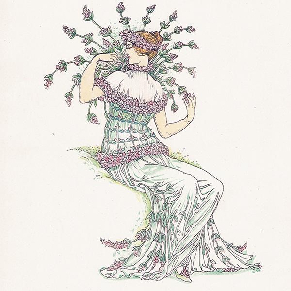 磻ɥwild thyme Flowers from Shakespeares Garden  륿쥤 1906ǯ  | 2016