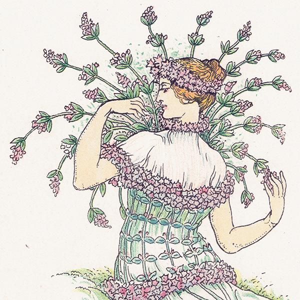 磻ɥwild thyme Flowers from Shakespeares Garden  륿쥤 1906ǯ  | 2016