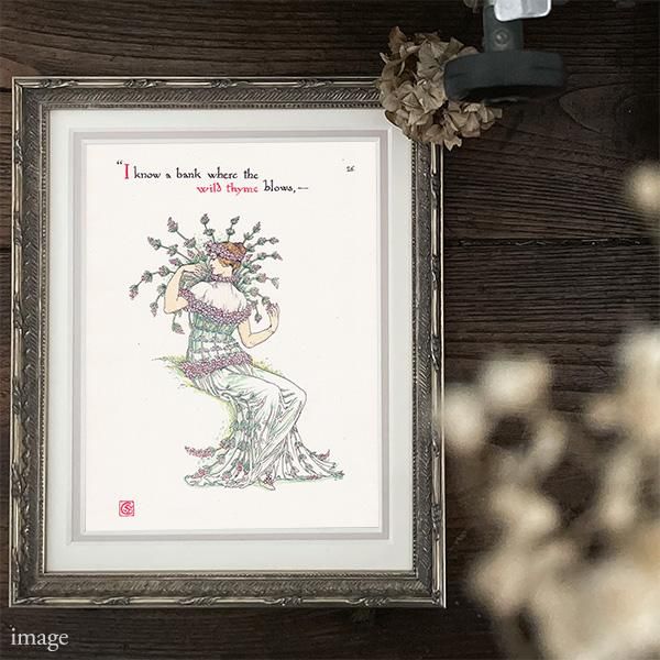 磻ɥwild thyme Flowers from Shakespeares Garden  륿쥤 1906ǯ  | 2016
