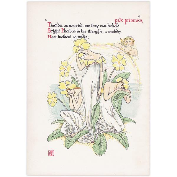 ץprimrose / 饽 Flowers from Shakespeares Garden  륿쥤 1906ǯ  | 2017