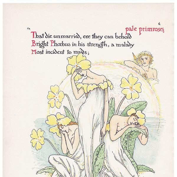 ץprimrose / 饽 Flowers from Shakespeares Garden  륿쥤 1906ǯ  | 2017