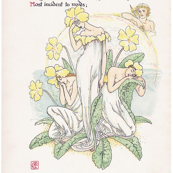ץprimrose / 饽 Flowers from Shakespeares Garden  륿쥤 1906ǯ  | 2017