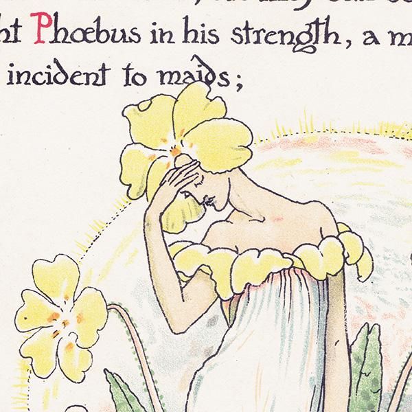 ץprimrose / 饽 Flowers from Shakespeares Garden  륿쥤 1906ǯ  | 2017