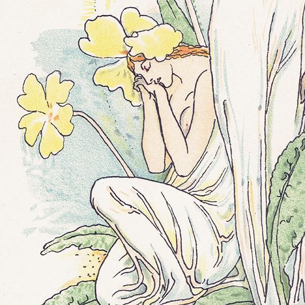 ץprimrose / 饽 Flowers from Shakespeares Garden  륿쥤 1906ǯ  | 2017