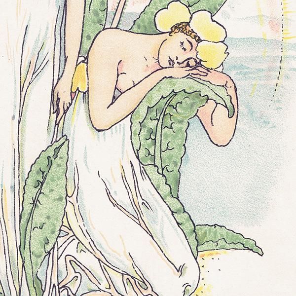 ץprimrose / 饽 Flowers from Shakespeares Garden  륿쥤 1906ǯ  | 2017