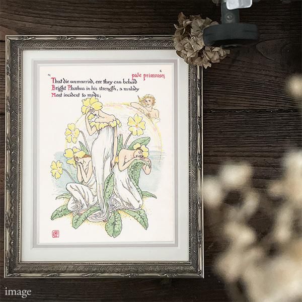 ץprimrose / 饽 Flowers from Shakespeares Garden  륿쥤 1906ǯ  | 2017