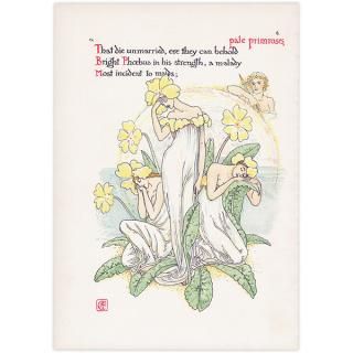 ץprimrose / 饽 Flowers from Shakespeares Garden  륿쥤 1906ǯ  | 2017