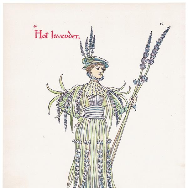 Hot lavenderʥ٥ Flowers from Shakespeares Garden  륿쥤 1906ǯ  | 2018