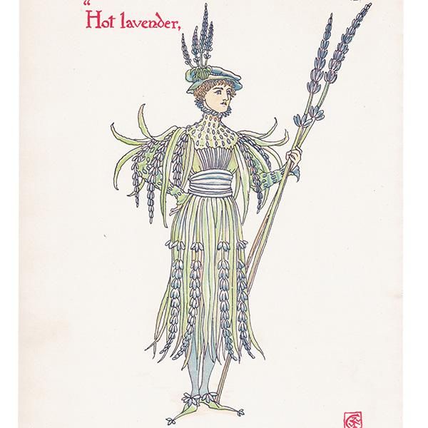 Hot lavenderʥ٥ Flowers from Shakespeares Garden  륿쥤 1906ǯ  | 2018