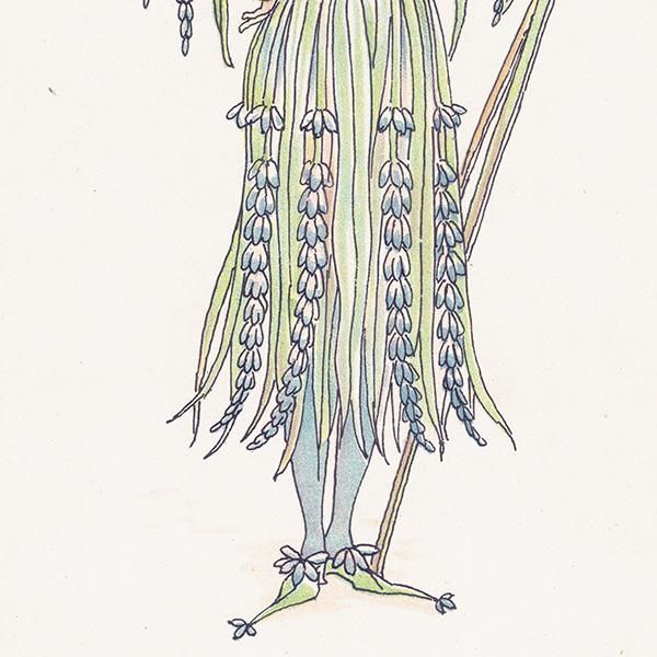 Hot lavenderʥ٥ Flowers from Shakespeares Garden  륿쥤 1906ǯ  | 2018