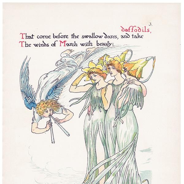Daffodilsʥ Flowers from Shakespeares Garden  륿쥤 1906ǯ  | 2019
