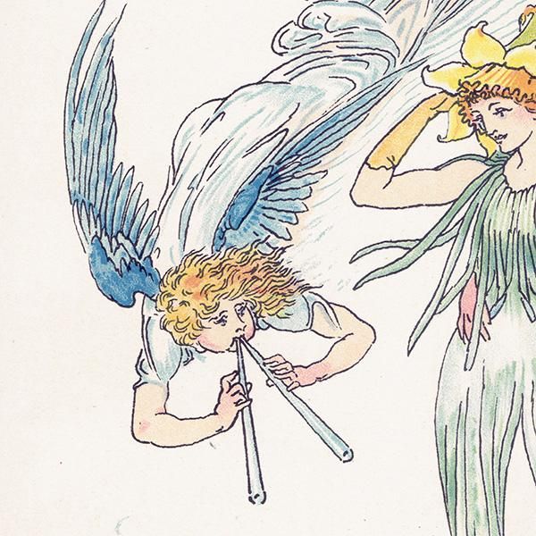 Daffodilsʥ Flowers from Shakespeares Garden  륿쥤 1906ǯ  | 2019