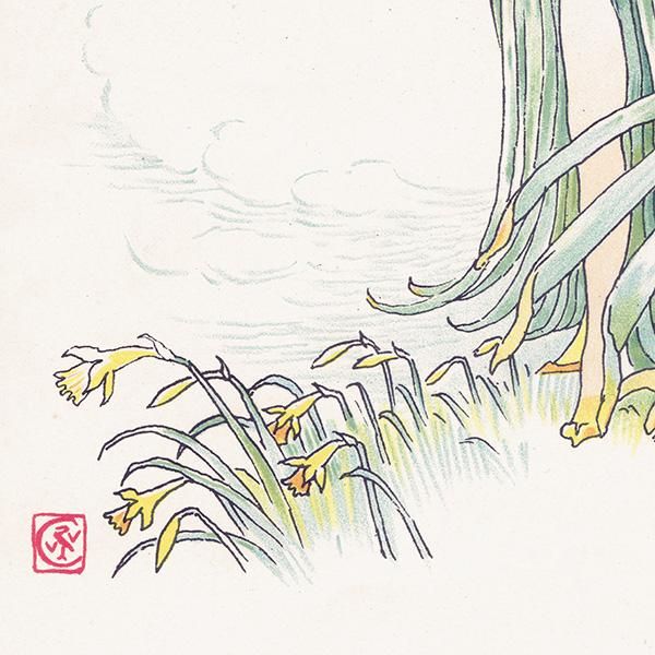 Daffodilsʥ Flowers from Shakespeares Garden  륿쥤 1906ǯ  | 2019