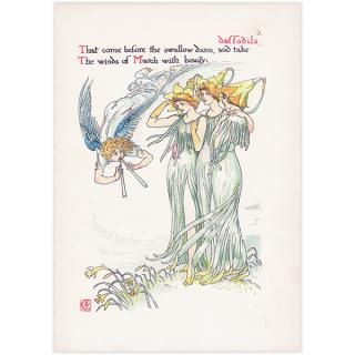 Daffodilsʥ Flowers from Shakespeares Garden  륿쥤 1906ǯ  | 2019