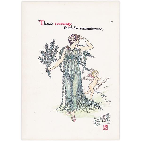Rosemaryʥޥ꡼ Flowers from Shakespeares Garden  륿쥤 1906ǯ  | 2021