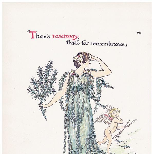 Rosemaryʥޥ꡼ Flowers from Shakespeares Garden  륿쥤 1906ǯ  | 2021