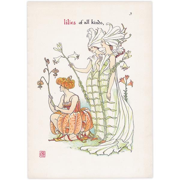 Liliesʥ Flowers from Shakespeares Garden  륿쥤 1906ǯ  | 2023