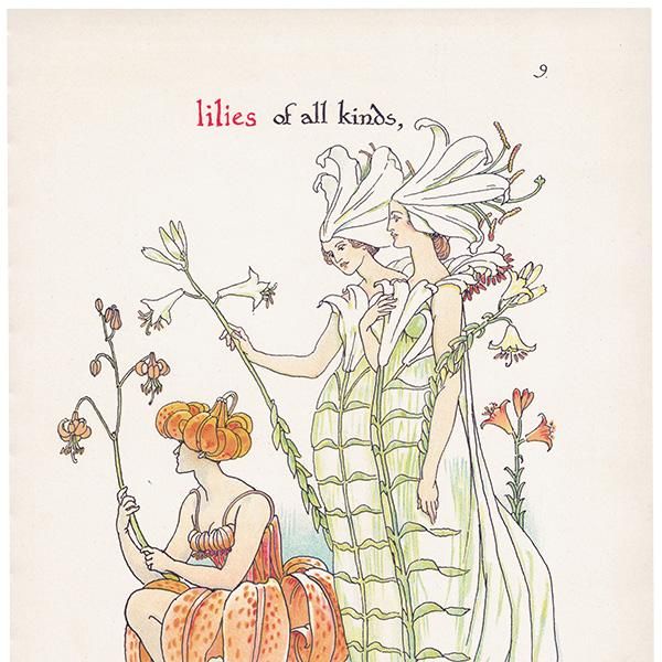 Liliesʥ Flowers from Shakespeares Garden  륿쥤 1906ǯ  | 2023