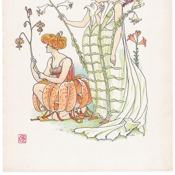 Liliesʥ Flowers from Shakespeares Garden  륿쥤 1906ǯ  | 2023