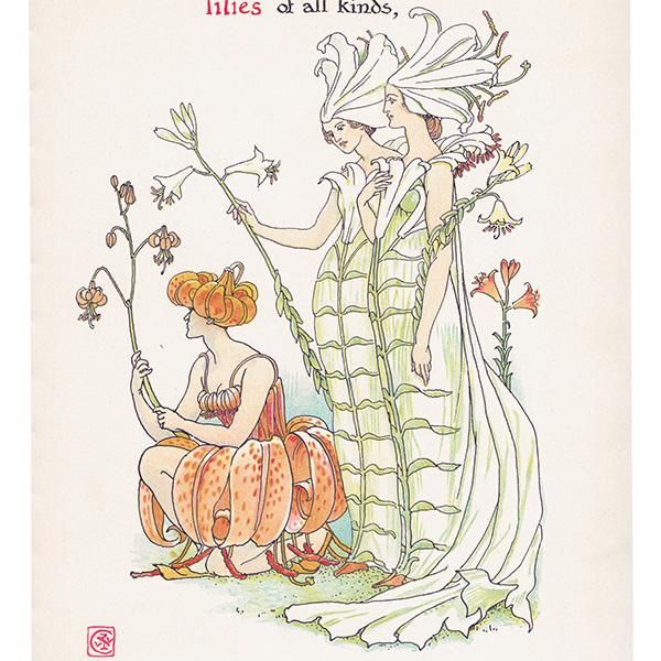 Liliesʥ Flowers from Shakespeares Garden  륿쥤 1906ǯ  | 2023