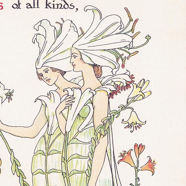 Liliesʥ Flowers from Shakespeares Garden  륿쥤 1906ǯ  | 2023