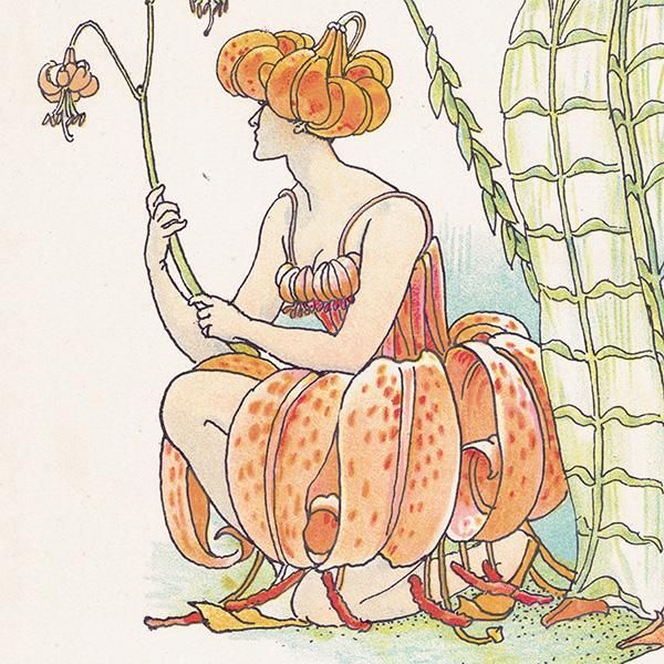 Liliesʥ Flowers from Shakespeares Garden  륿쥤 1906ǯ  | 2023