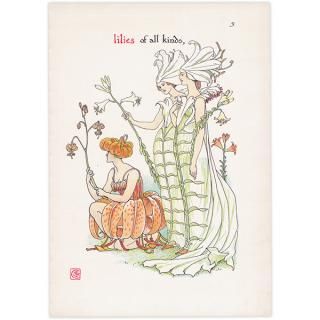 ☆お値下げ☆アンティーク挿絵本「ＴＨＥ ＬＩＬＹ ＯＦ ＬＩＦＥ」※説明欄必読 絵本・絵本挿絵 - インテリアにプラスしたくなる アンティーク
