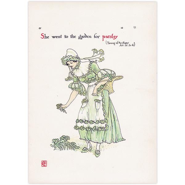 Parsleyʥѥ Flowers from Shakespeares Garden  륿쥤 1906ǯ  | 2024