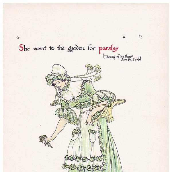 Parsleyʥѥ Flowers from Shakespeares Garden  륿쥤 1906ǯ  | 2024